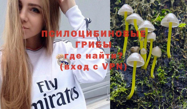 дурь Балахна
