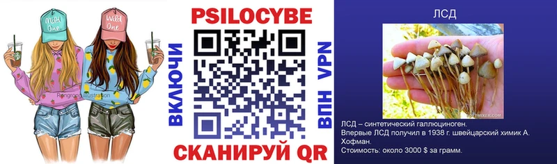 Галлюциногенные грибы GOLDEN TEACHER  Купить закладки  Яхрома 